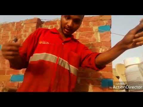 اسهل طريقة للتخلص من حشرات الكلاب القراد