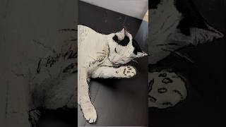 old ahh trend #arttrend #art #drawing #draw #cat #digitalart #trending #cats #pencil #ytshorts #fyp