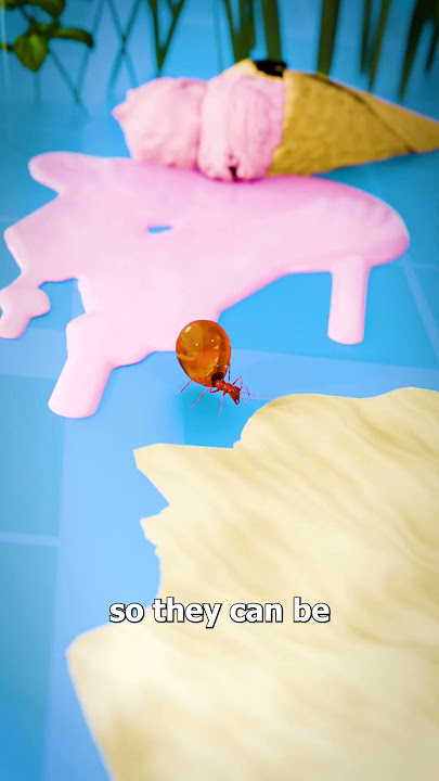 Why Some Ants Gorge Themselves 🐜😮