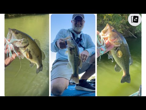 #bass #fishing #october fall bass fishing – Spro Rk 50DD