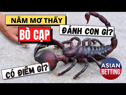 Video Mơ thấy bò cạp đánh con gì? Có điềm gì? |... - youtube