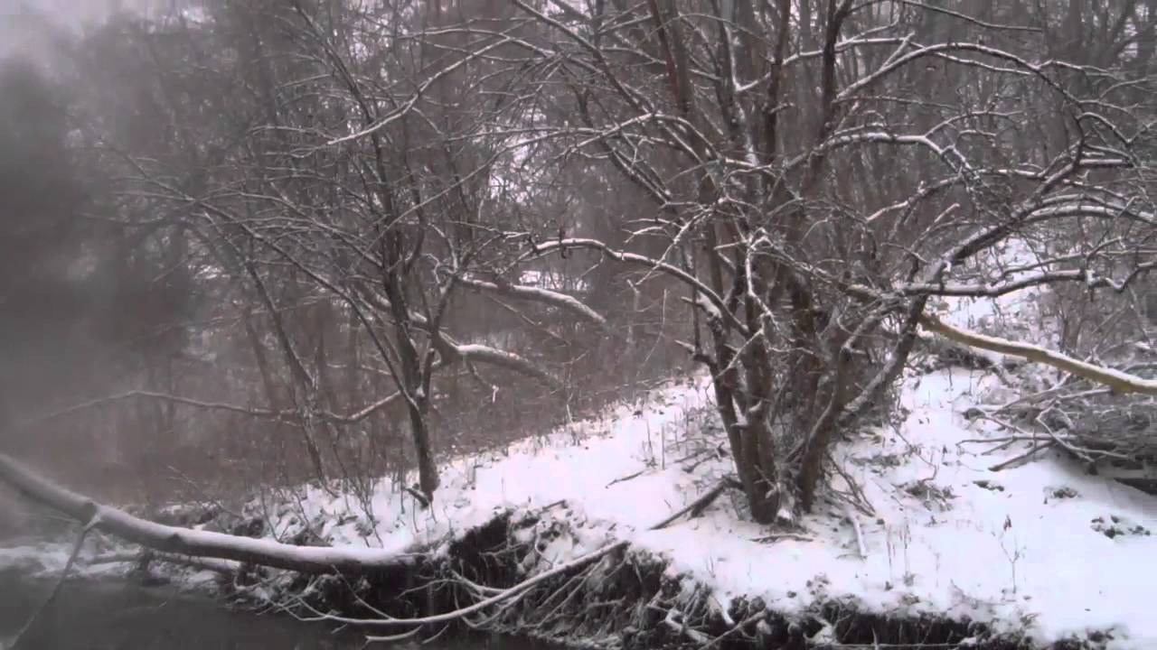 in-the-winter-time-by-the-steve-miller-band-mp4-youtube