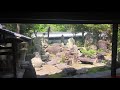 安養院庭園① 国指定名勝　借景を利用した枯山水