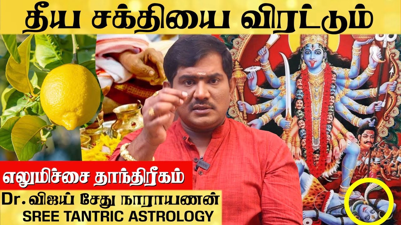காளியம்மனுக்கு எலுமிச்சை மாலை போட்டால் நடக்கும் மாற்றம் | ​⁠@sreetantricastrology | #lemon