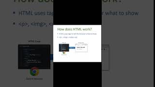 DAY 2 | What is HTML and Why It Is Important?