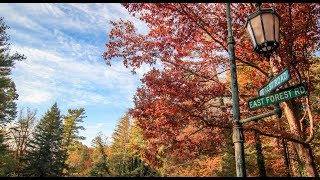 Live The Life You Choose In Biltmore Forest, Nc