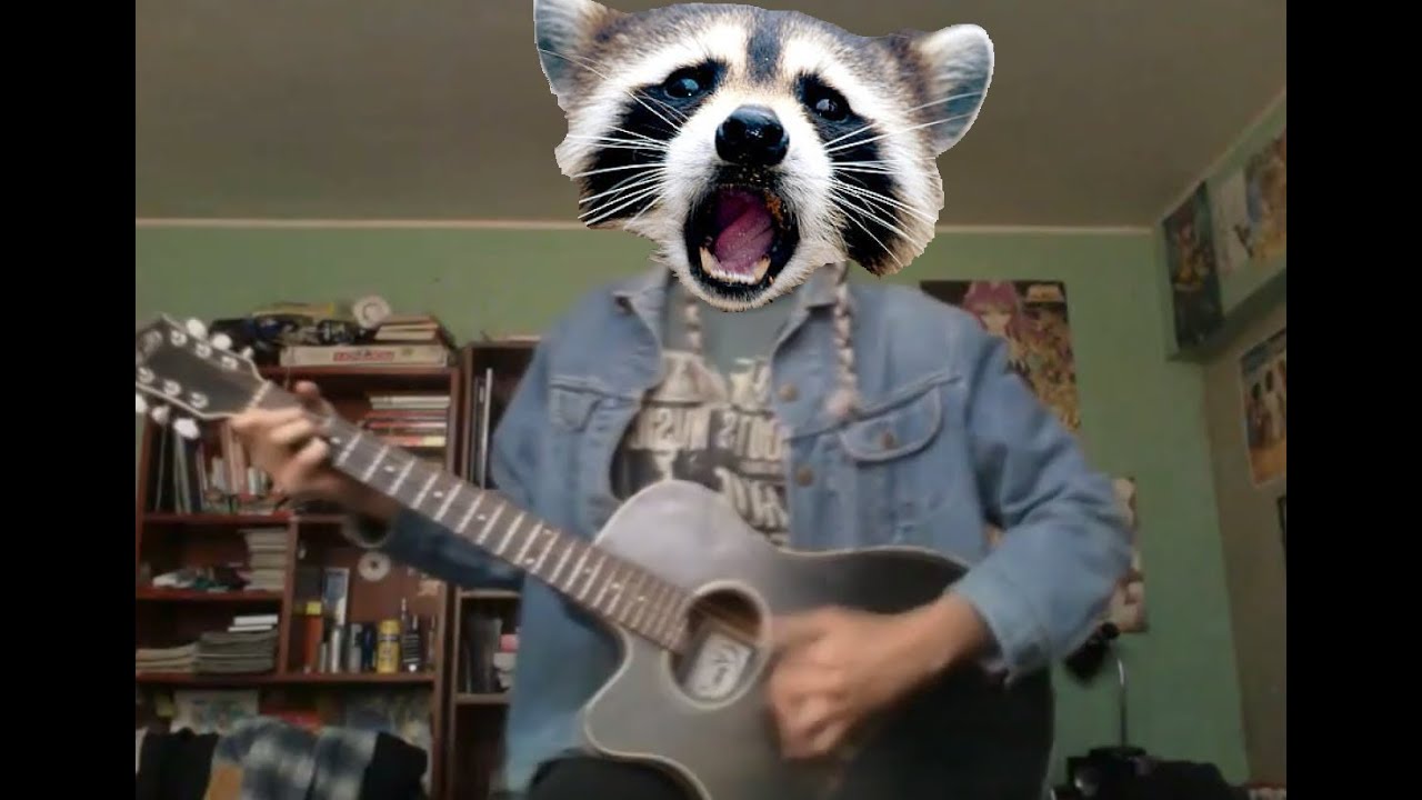 Rocky Raccoon YouTube
