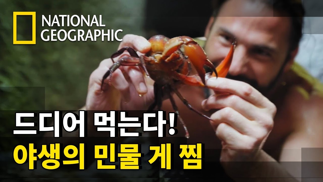 바위 밑 잠수 사냥과 정글 압력솥 제조하기