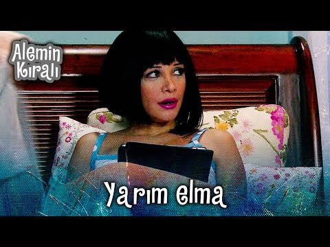 Asalet, sözlükçü damat