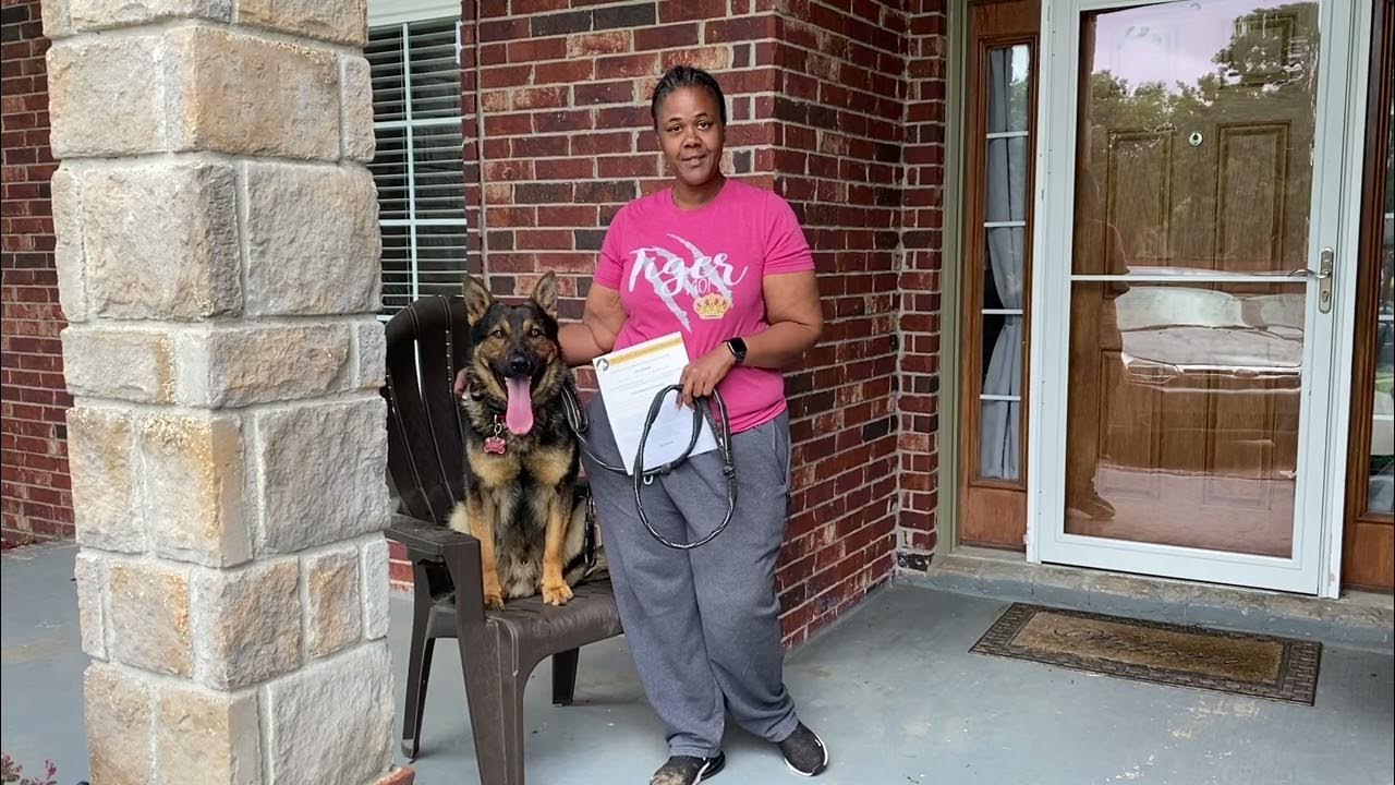 Tampa Dog Training Tip Top K9 YouTube