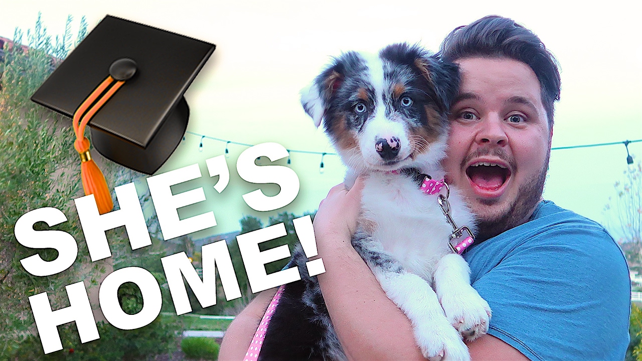 canon definicion PUPPY GRADUATES TRAINING!