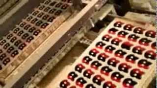 Hallonlakritsskallen From Bubs Candy