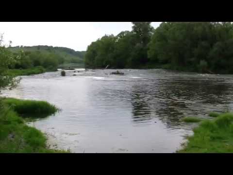 Река Красивая Меча - рыбалка в Тульской области