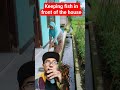 keeping fish in front of the house #animals #hewan