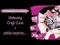 Diamond painting  unboxing craft ease  petite surprise