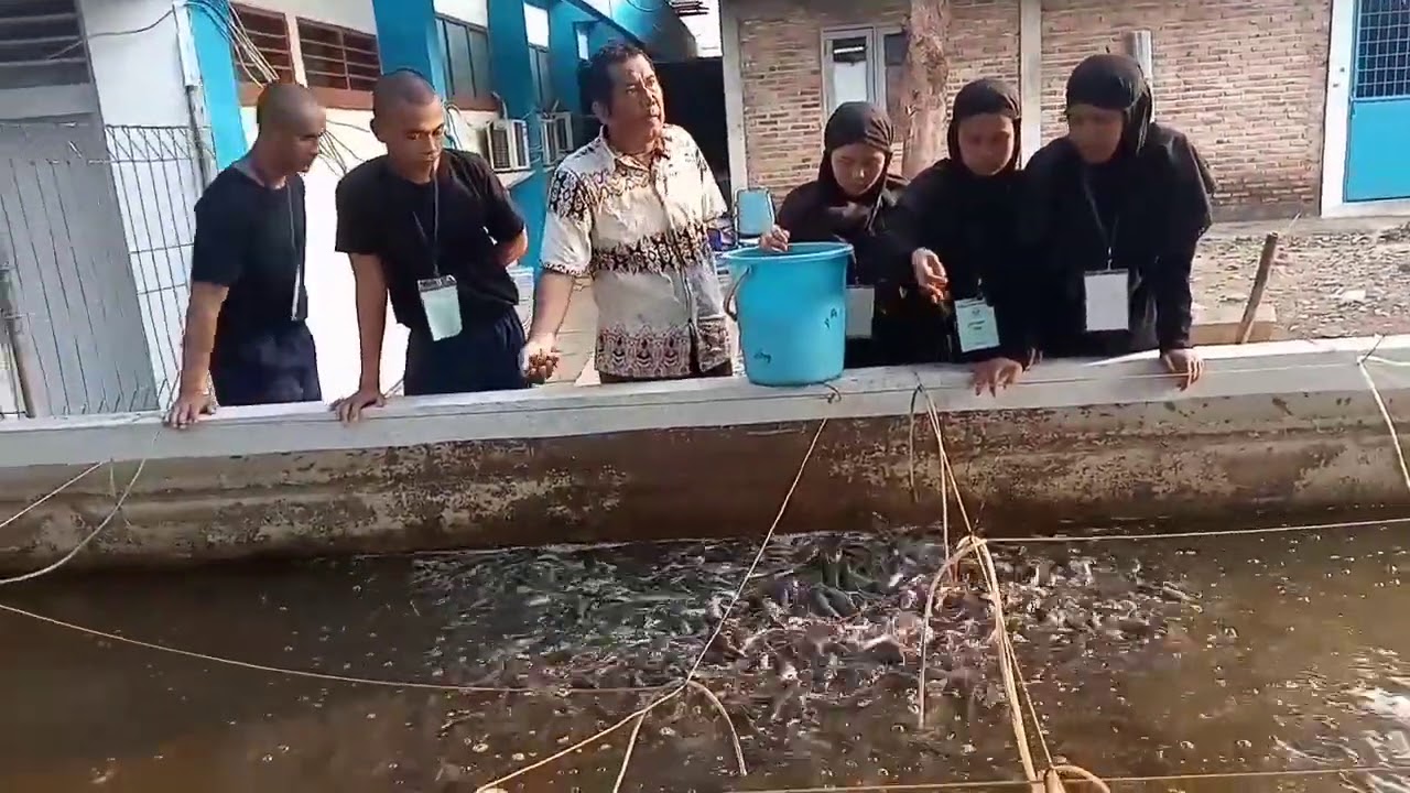 BELAJAR BUDI DAYA LELE UNTUK PEMULA 