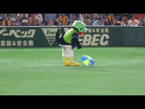 2018.6.23 東京ドーム 東京音頭でのくるりんぱつば九郎