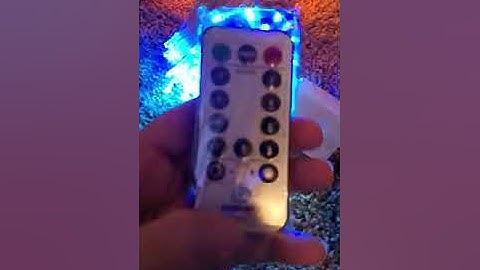 BrizLabs Indoor String Lights