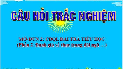 Mô đun 2: CBQL Đại trà Tiểu Học/BÀI KT TRẮC NGHIỆM Phần 2  (Đánh giá thực trạng đội ngũ,...)/NKD