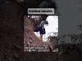 trembesi monster #chainsaw