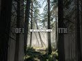 Airfall: Unraveling the Tunguska Mystery #extremenature #viral #nature #viralshort #youtubeshorts