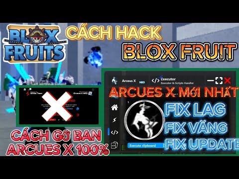 Cách Gỡ Banned Client Arceus X Thành Công 100%, Hỗ Trợ Thay Đổi HWID Roblox, Hack Blox Fruits 21 !!!