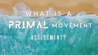 What is a Movement Assessment?