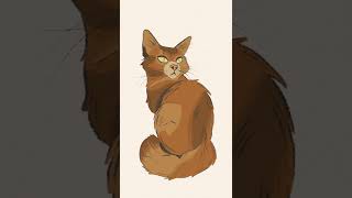 Drawing a Cat #shorts #procreate #illustration