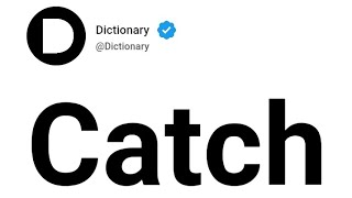 Catch Meaning In English