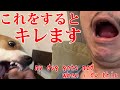 【Vlog vol.9】【閲覧注意】あることをするとキレる犬 - My dog ​​gets mad when I do this