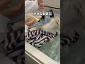 ドン引き!タオルのオキシ漬け