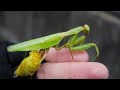 お前マジか...それで生きてるの...?