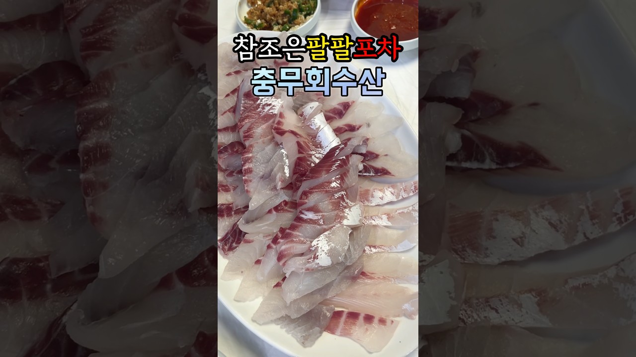 #목포맛집 #독천식당 #쑥꿀레 #참조은팔팔포차 #충무회수산 #이모식당 #shorts #Korea #Mokpo