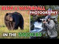 Photographing Black Bears & Waterfalls in the Great Smoky Mountains! - PHOTOGRAPHY VLOG