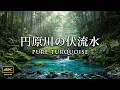 4K映像 + 自然の音 /　湧水(伏流水)の流れる円原川の美しい自然　美しいターコイズカラー　総集編 7時間40分