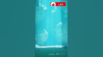 The Secrets of Groundwater Flow: How Water Travels Underground