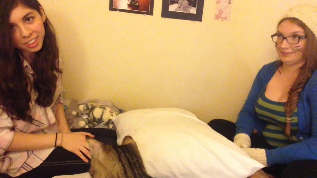 A Preference Assessment - With a Cat! - YouTube