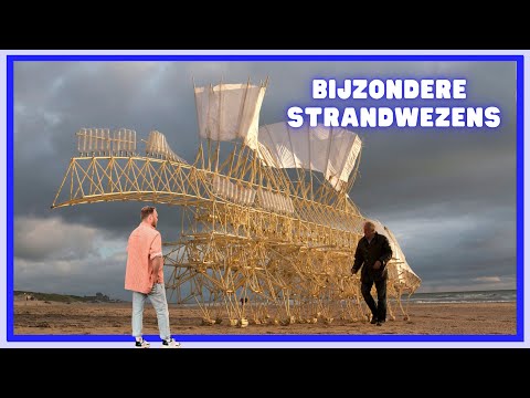 Bijzondere strandwezens en een Den Haag is een stad vol talent! | De Cultuurvlogger  | #141