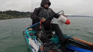 Great way to start the fishing season with a big lingcod.