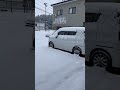 Snow Day In Japan