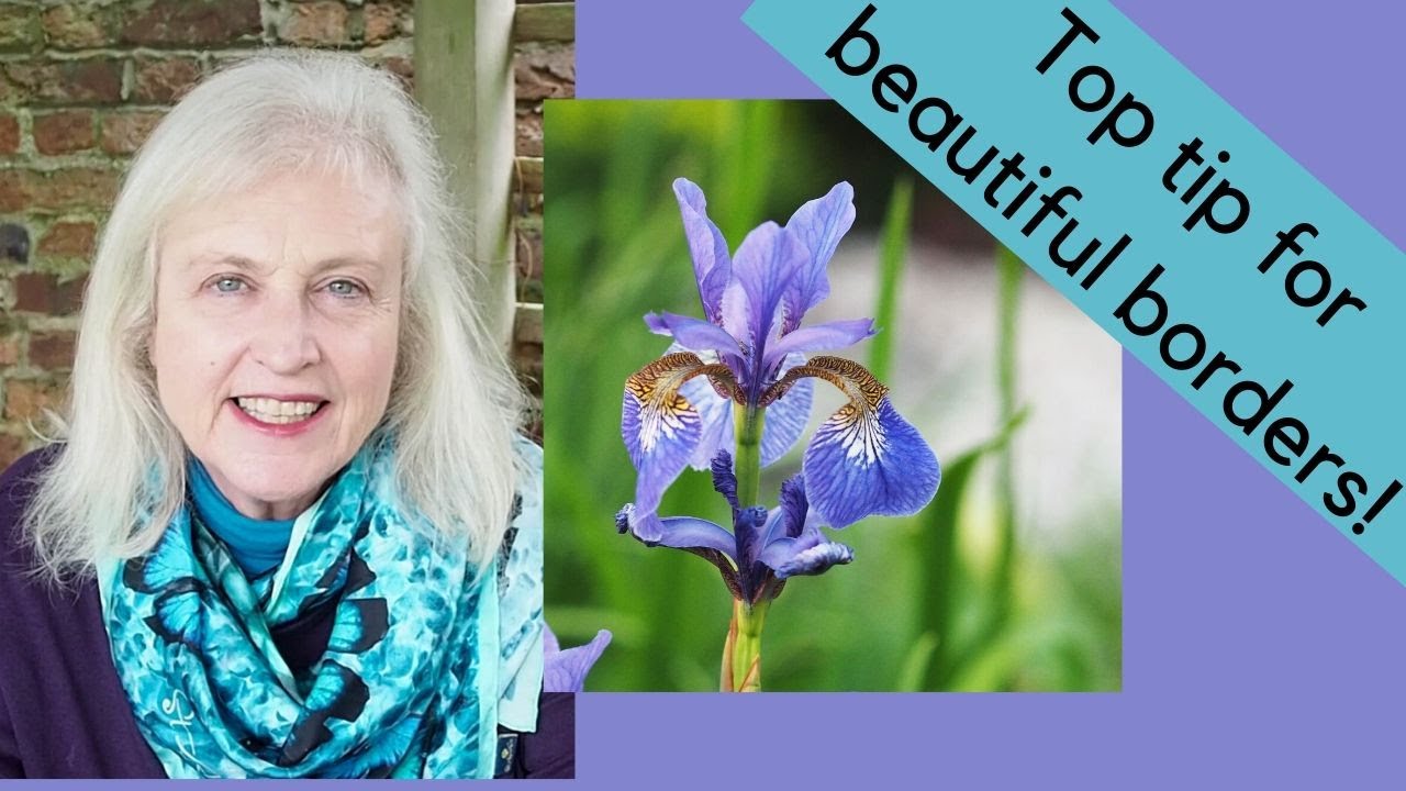 How to divide perennials - and why it makes your garden better