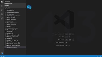 Golang Deep Dive P1 - L45 - Modules - Inheritance and Internal Interface