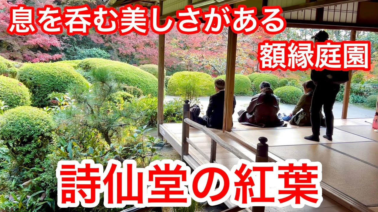 2025年11月20日 息を呑む美しさがある額縁庭園 詩仙堂の紅葉🍁 Shisendo, Kyoto