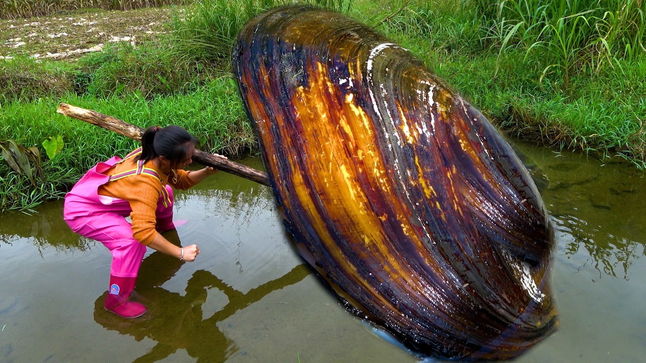 This big river clam has bloomed many beautiful pearls, and I am extremely happy