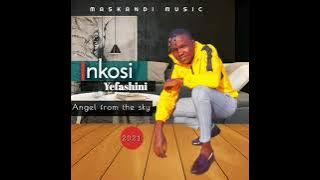 INKOSI YEFASHINI - Ngeke ngikhone (official audio)