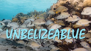 UNBELIZEABLUE | Crowdfunding Trailer