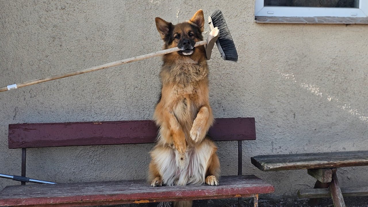 ARES BĘDZIE MIAŁ 90 DZIECI - Jeszcze nie wie co go czeka