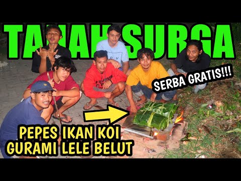GOKIL!! LIWETAN PEPES IKAN KOI UNTUK PERTAMA KALINYA Dengan Bumbu Nyari di Kebun (serba gratis)