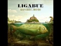 La linea sottile  ligabue