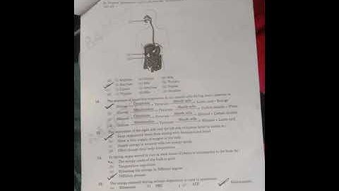 science answer key, set 4 for term 1 class 10 #science #AnswerKey #class10 #shorts